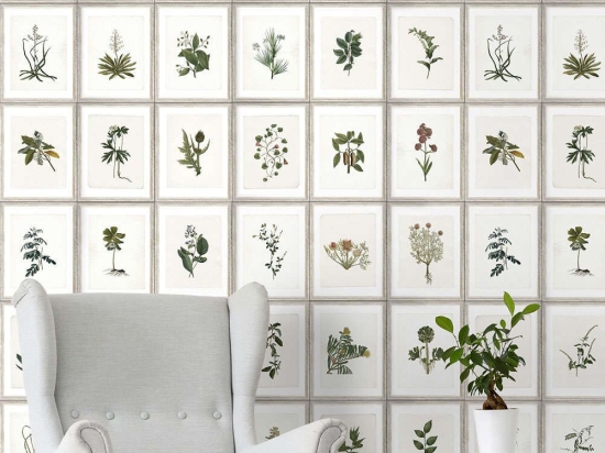 Ταπετσαρία Botany WP20153 Green-Brown-Grey MindTheGap 52x300cm
