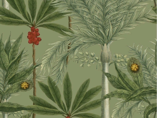 Ταπετσαρία Madagascar WP20520 Green-Red MindTheGap 52x300cm