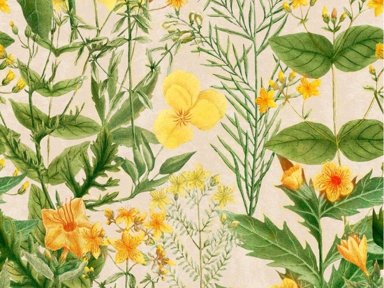 Ταπετσαρία Mimulus WP20323 Green-Yellow-Taupe MindTheGap 52x300cm