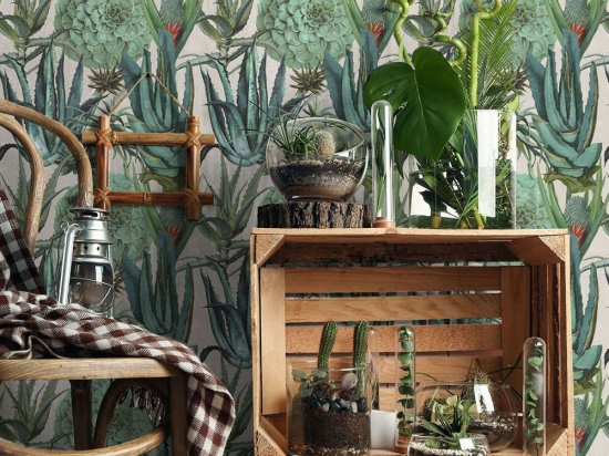 Ταπετσαρία Succulentus WP20168 Green-Taupe MindTheGap 52x300cm