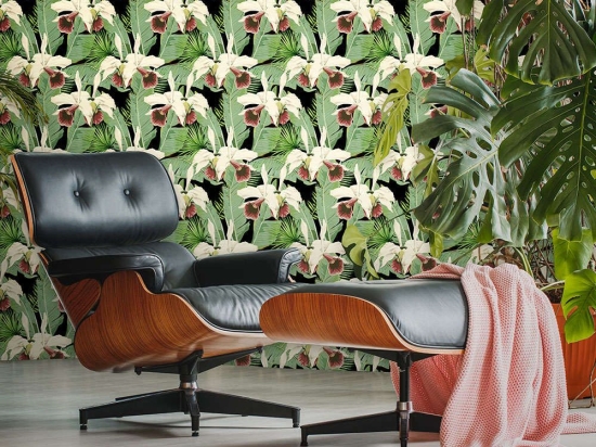 Ταπετσαρία Treasure Island Anthracite WP20364 Green-Black-White-Red MindTheGap 52x300cm