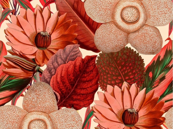 Ταπετσαρία Water Lilies Taupe WP20317 Red-Taupe MindTheGap 52x300cm