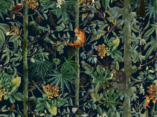 Ταπετσαρία Wildlife Of Papua Dark WP20527 Green-Black-Red-Yellow MindTheGap 52x300cm