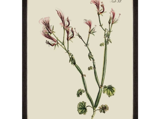 Κάδρο Botanical I FA13224 60x80cm Green MindTheGap Κάθετοι Ξύλο