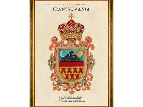 Κάδρο Transylvania Saxon Crest FA13267 35x50cm Multi MindTheGap Κάθετοι Ξύλο