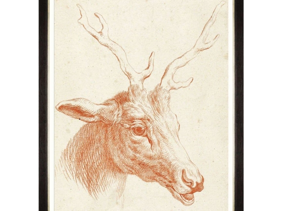 Κάδρο Deer Head FA13240 60x80cm Brown MindTheGap Κάθετοι Ξύλο