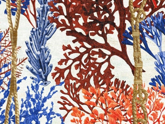 Ταπετσαρία Corallia Wp20563 3*52X300Cm Blue-Orange Mindthegap 52x300cm