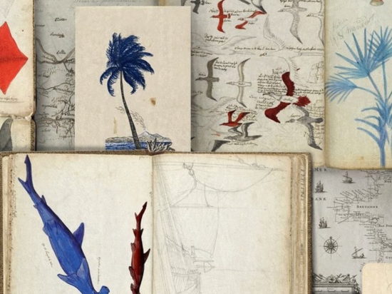 Ταπετσαρία Seaman'S Journal Wp20562 3*52X300Cm White-Red-Blue Mindthegap 52x300cm