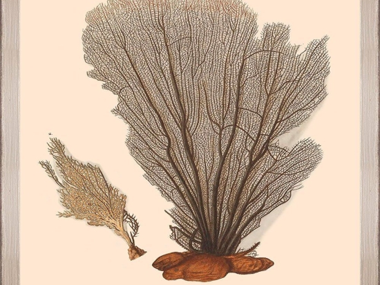 Κάδρο Deliciae Naturae I Fa13353 35X50Cm Grey-Beige Mindthegap Τετράγωνοι Ξύλο