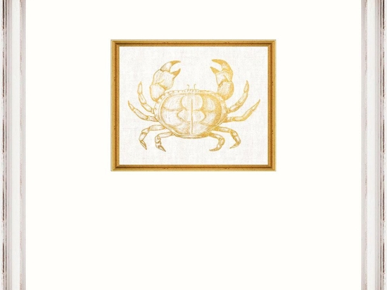 Κάδρο Crab Fa13363 35X45Cm White-Gold Mindthegap Κάθετοι Ξύλο