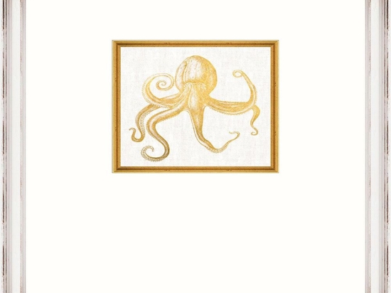 Κάδρο Octopus Fa13364 35X45Cm White-Gold Mindthegap Κάθετοι Ξύλο