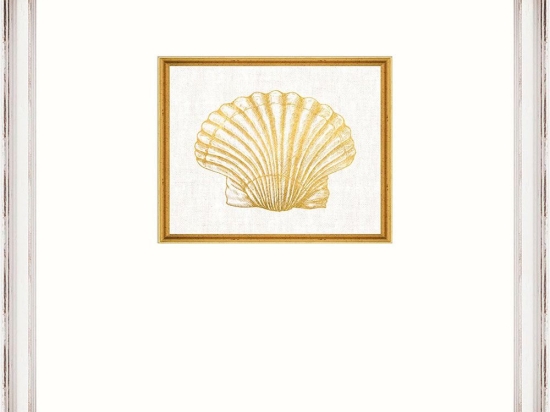 Κάδρο Seashell Fa13365 35X45Cm White-Gold Mindthegap Κάθετοι Ξύλο