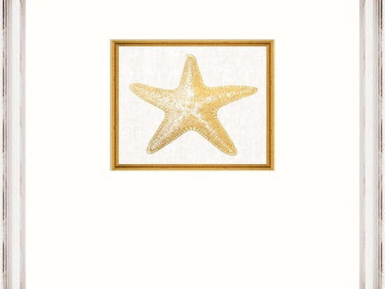 Κάδρο Starfish Fa13367 35X45Cm White-Gold Mindthegap Κάθετοι Ξύλο