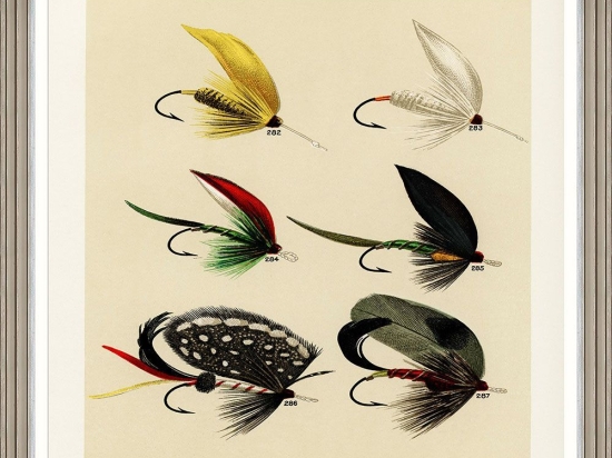 Κάδρο Fishing Flies I By Mary Orvis Marbury Fa13405 60X80Cm Multi Mindthegap Κάθετοι Ξύλο