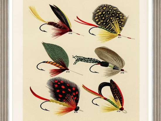 Κάδρο Fishing Flies Ii By Mary Orvis Marbury Fa13406 60X80Cm Multi Mindthegap Κάθετοι Ξύλο