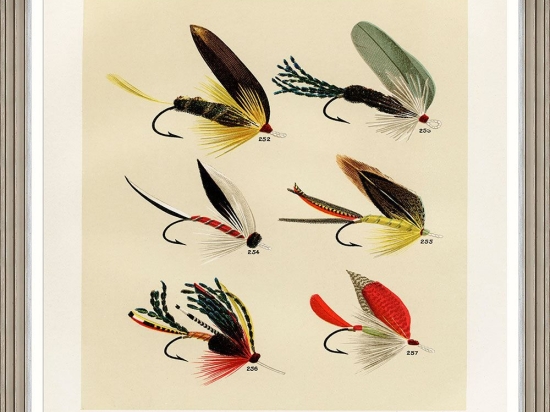 Κάδρο Fishing Flies Iii By Mary Orvis Marbury Fa13407 60X80Cm Multi Mindthegap Κάθετοι Ξύλο