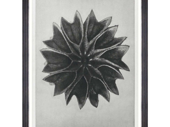 Κάδρο Lime Mallow FA13413 60x80cm Black-White MindTheGap Κάθετοι Ξύλο,Γυαλί