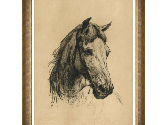 Κάδρο Head Of A Horse FA13424 50x70cm Beige-Black MindTheGap Κάθετοι Ξύλο,Γυαλί