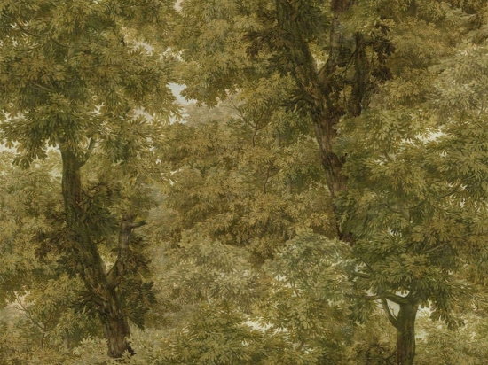 Ταπετσαρία Branchy WP20784 Autumn Green MindTheGap 52x300cm
