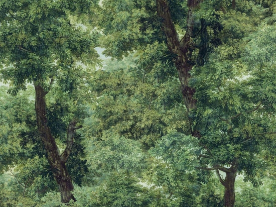 Ταπετσαρία Branchy WP20785 Meadow Green MindTheGap 52x300cm
