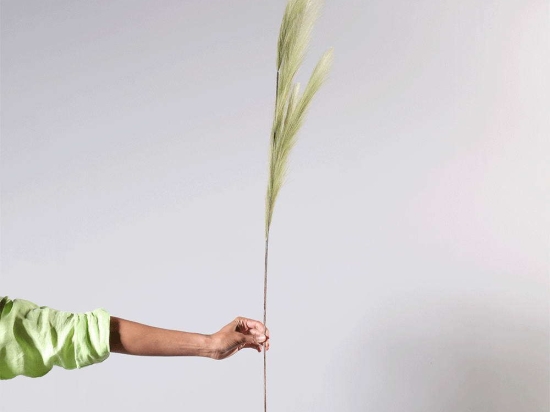 Τεχνητό Κλαδί Φτερό 5241-7 25x145cm Green Supergreens Πολυέστερ