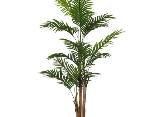 Τεχνητό Δέντρο Αρέκα 6460-6 75x75x160cm Green Supergreens Πολυαιθυλένιο