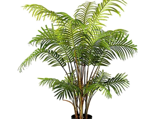 Τεχνητό Δέντρο Αρέκα 2860-6 90x90x150cm Green Supergreens Πολυαιθυλένιο