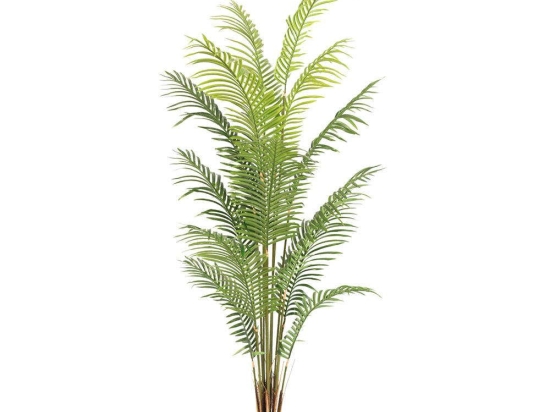 Τεχνητό Δέντρο Αρέκα 3860-6 70x70x200cm Green Supergreens Πολυαιθυλένιο