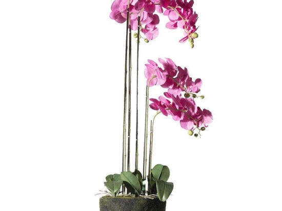 Τεχνητό Φυτό Ορχιδέα Με Βάση Moss 7170-6 44x44x110cm Fuchsia Supergreens Πολυαιθυλένιο