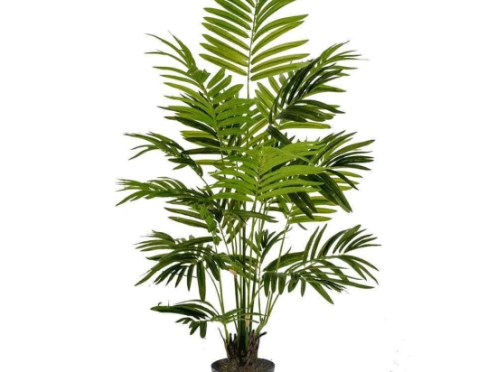 Τεχνητό Φυτό Φοίνικας Χαμαιδώρεα Elegans 1960-6 60x60x100cm Green Supergreens Πολυαιθυλένιο