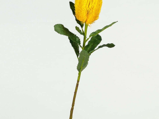Τεχνητό Κλωνάρι Βαγξία 0701-7 18x18x65cm Yellow Supergreens Πολυέστερ