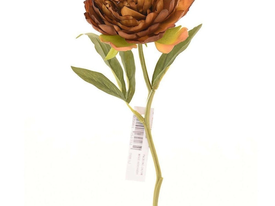 Τεχνητό Κλωνάρι Παιώνια 5280-7 34cm Brown Supergreens Πολυαιθυλένιο