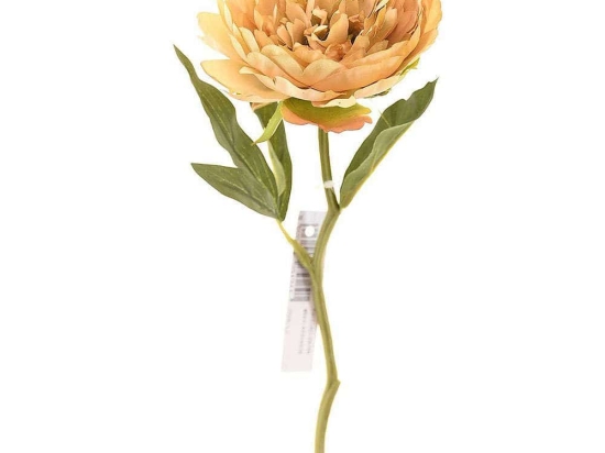 Τεχνητό Κλωνάρι Παιώνια 6280-7 34cm Beige Supergreens Πολυαιθυλένιο