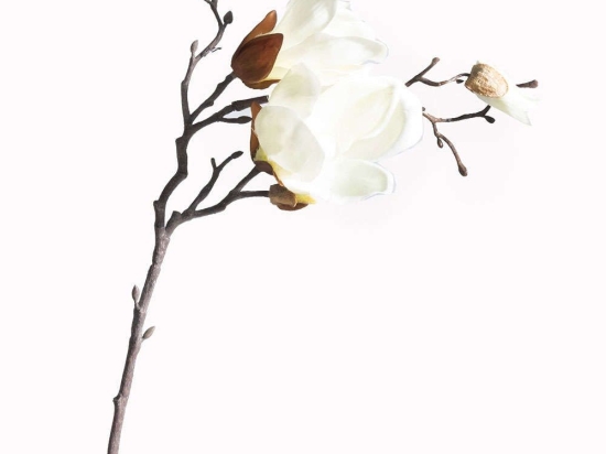 Τεχνητό Κλωνάρι Μανόλια Pistil 2280-7 50cm White Supergreens Πολυαιθυλένιο