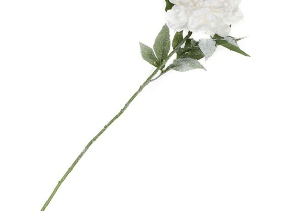 Τεχνητό Κλωνάρι Παιώνια Χιονισμένη 4220-7 70cm White Supergreens Πολυαιθυλένιο