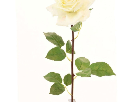Τεχνητό Κλωνάρι Τριαντάφυλλο 5820-7 75cm White Supergreens Πολυαιθυλένιο