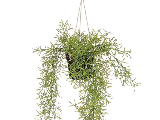 Τεχνητό Κρεμαστό Φυτό Σπαράγγι 5151-7 9x9x40cm Green Supergreens Πολυαιθυλένιο