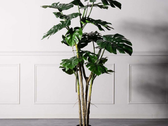 Τεχνητό Δέντρο Μονστέρα 9580-6 70x70x180cm Green Supergreens Πολυαιθυλένιο