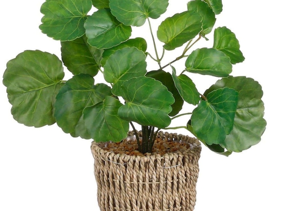 Τεχνητό Φυτό Γεράνι 8670-6 12x12x33cm Green Supergreens Πολυαιθυλένιο