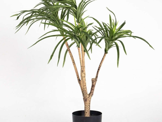 Τεχνητό Φυτό Δράκαινα 6880-6 40x80cm Green Supergreens Πολυαιθυλένιο