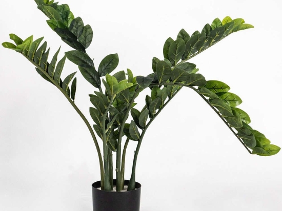 Τεχνητό Φυτό Ζάμια 5450-6 60x80cm Green Supergreens Πολυαιθυλένιο