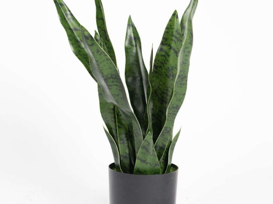 Τεχνητό Φυτό Σανσεβιέρια Robusta 9880-6 55cm Green Supergreens Πολυαιθυλένιο