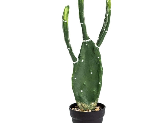 Τεχνητό Φυτό Φραγκοσυκιά Skinners 4780-6 64cm Green Supergreens Πολυαιθυλένιο