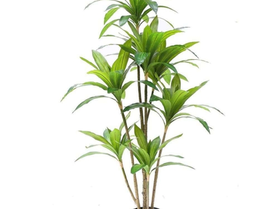 Τεχνητό Δέντρο Δράκαινα 6180-6 80x170cm Green Supergreens Πολυαιθυλένιο