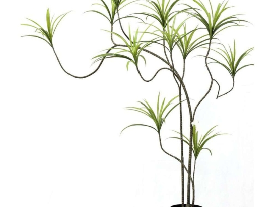 Τεχνητό Δέντρο Δράκαινα Sanderiana 8770-6 150cm Green Supergreens Πολυαιθυλένιο,Ύφασμα