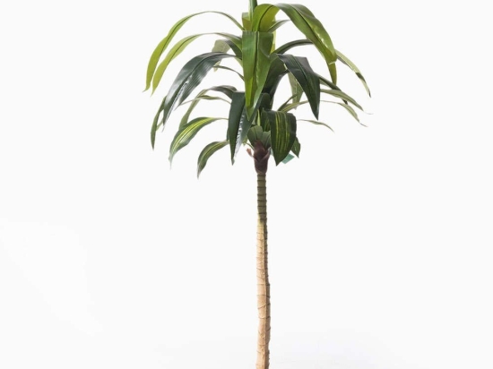 Τεχνητό Δέντρο Δράκαινα 7130-6 170cm Green-Beige Supergreens Πολυαιθυλένιο,Ύφασμα