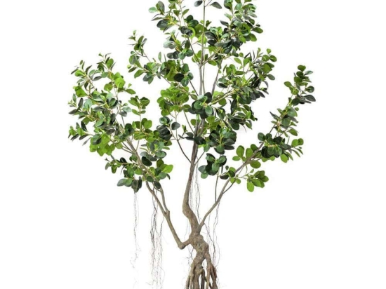 Τεχνητό Δέντρο Φίκος Ginseng 2770-6 250cm Green Supergreens Πολυαιθυλένιο,Ύφασμα