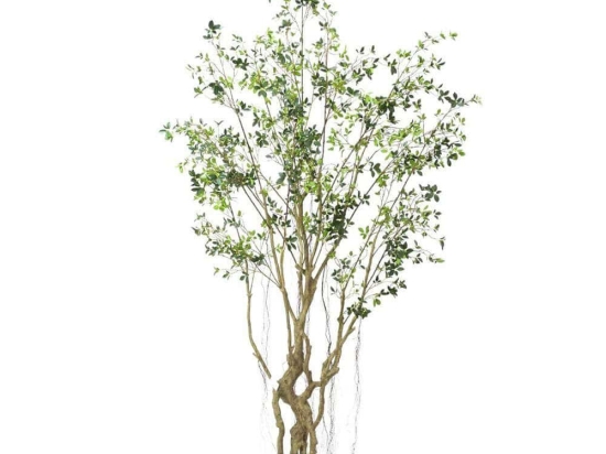 Τεχνητό Δέντρο Φίκος Microcarpa 7770-6 300cm Green Supergreens Πολυαιθυλένιο,Ύφασμα