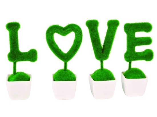 Vekrakis S/4 Φυτό Σε Γλαστράκι Λευκό "Love" PL 30x20 cm