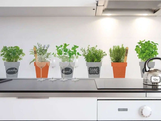 Αυτοκόλλητα Τοίχου Βινυλίου Spices 58111 100x45cm Green Ango Βινύλιο